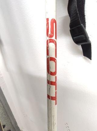 Esquís Fischer Plasma Edge con fijaciones y baston