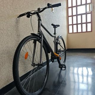Bicicleta Riverside Gris