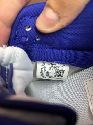 Nike Dunk Low Concord