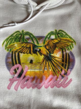 Sudadera Urban Outfitters Hawaii loro