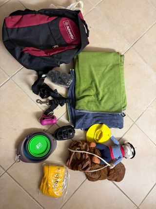 Lotto Accessori Cane Tolettatura Giochi