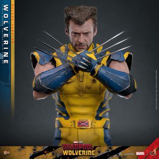 Hot Toys Wolverine Deadpool Deluxe 1/6