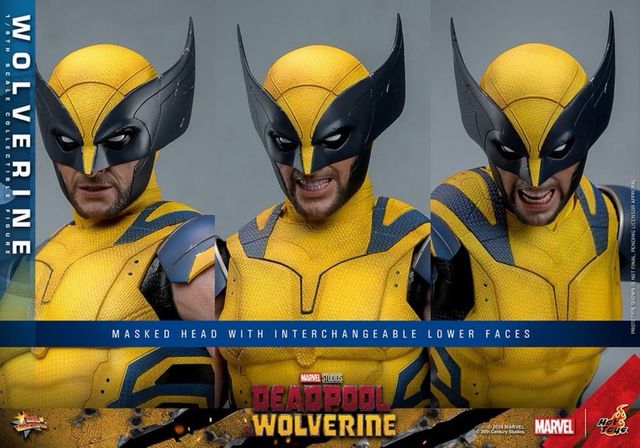 Hot Toys Wolverine Deadpool Deluxe 1/6