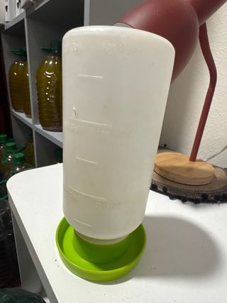 Bebedero para pollito