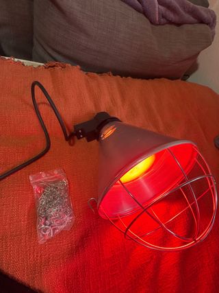 Lámpara calor pollitos/gallinas