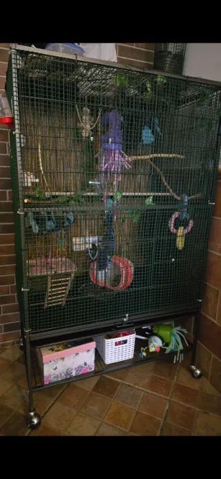 Jaulón/jaula grande