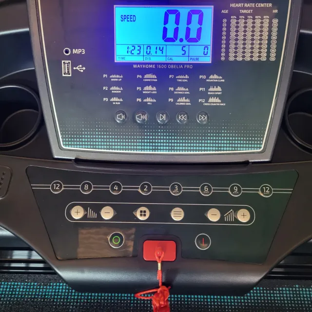 Cinta de Correr DrumFit WayHome 1600 Obelia