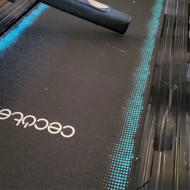 Cinta de Correr DrumFit WayHome 1600 Obelia