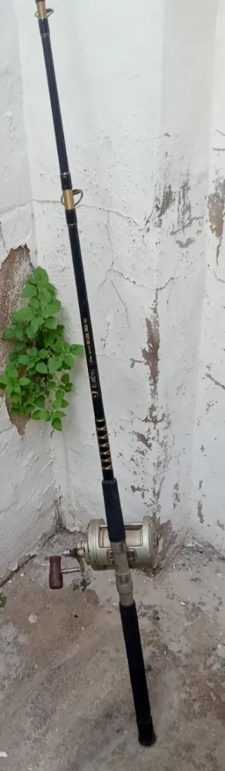 Caña de pescar de embarcación