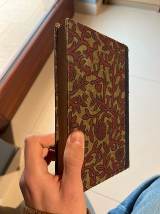 Anna Karenina antico Romanzo Tedesco