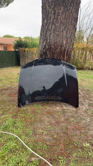 Capó BMW E46 Negro