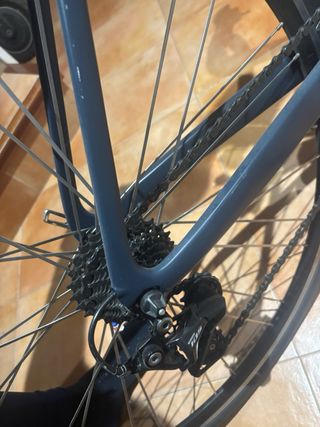 Bicicleta de carretera Wolfbike