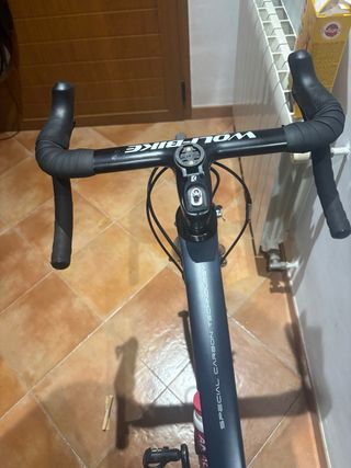 Bicicleta de carretera Wolfbike