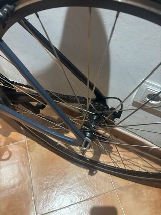 Bicicleta de carretera Wolfbike