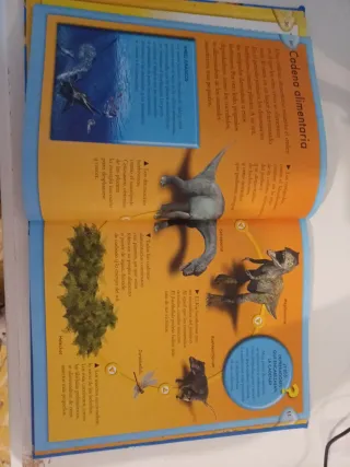 Todo lo que necesitas saber sobre los dinosaurios