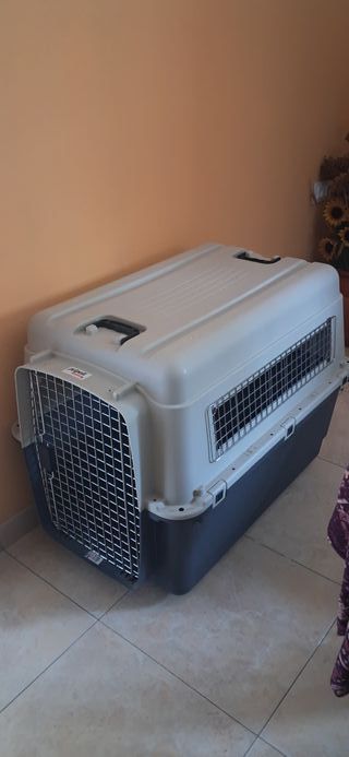 DISPONIBLE: Transportín grande homologado Petpall
