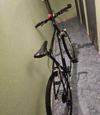 Bicicleta Montaña