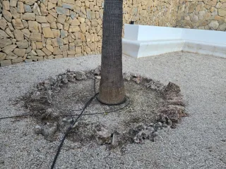 Piedras para jardín