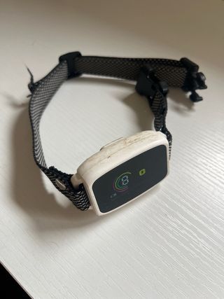 Collar adorno Navidad perro