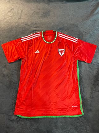 Camiseta  Gales Roja y Verde