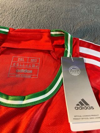 Camiseta  Gales Roja y Verde