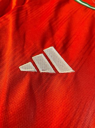 Camiseta  Gales Roja y Verde