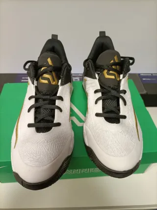 Zapatillas Nike Giannis Antetokounmpo