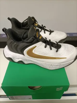 Zapatillas Nike Giannis Antetokounmpo