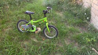 Bicicleta infantil Ridgeback MX verde