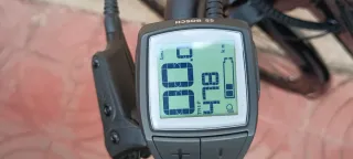 Bicicleta Eléctrica WINORA Sinus Tria 7 eco