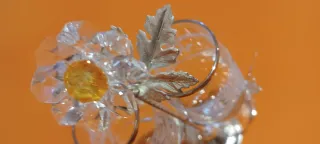 Coppia calici con porta calici