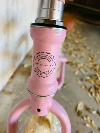 Bicicleta Equilibrio Little Dutch Rosa 2-5a