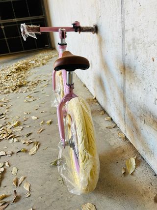 Bicicleta Equilibrio Little Dutch Rosa 2-5a