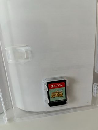 Animal Crossing: New Horizons Nintendo Switch