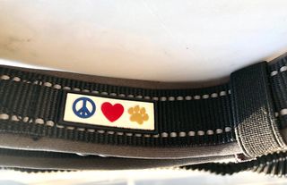 Guinzaglio mani libere nuovo