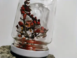 Soprammobile Pianta Vera