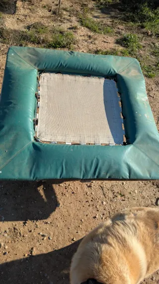 Trampolín verde para perros