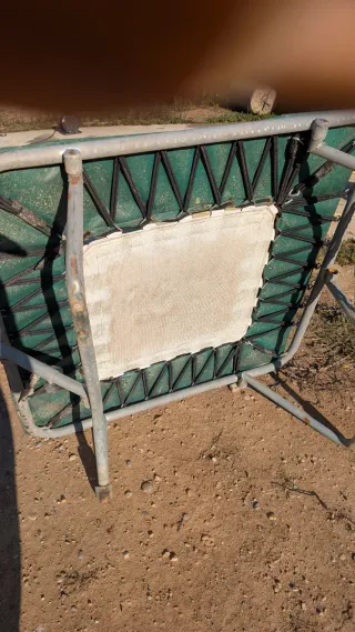 Trampolín verde para perros