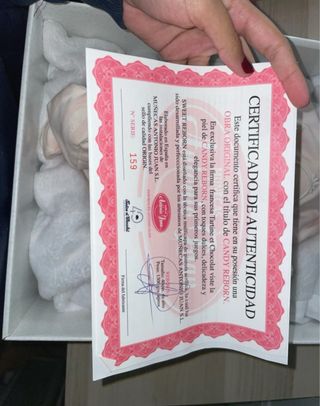 Bebé Reborn realista