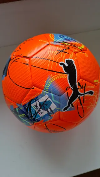 Pallone Ufficiale Serie A autografato Inter 25-26