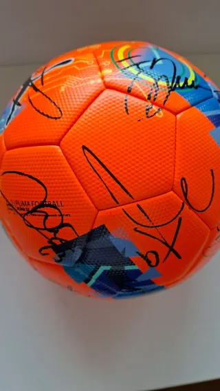 Pallone Ufficiale Serie A autografato Inter 25-26