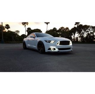 Rejilla frontal con Led para Ford Mustang MK6