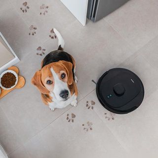 Robot Aspirador Cecotec Conga