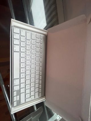 Teclado iPad Apple y ratón Apple