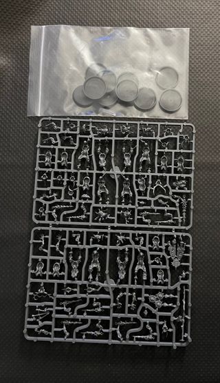 Warhammer AoS - 40K Plaguebearers Nurgle