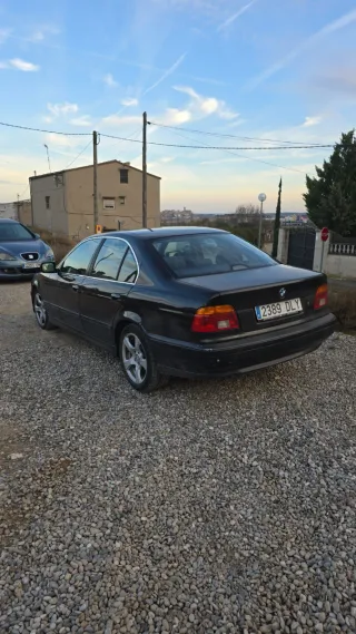 BMW Serie 5 2003