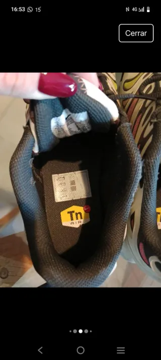 Zapatillas Nike TN Edición Limitada Multicolor