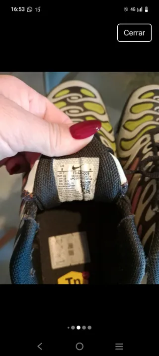 Zapatillas Nike TN Edición Limitada Multicolor