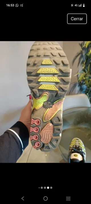 Zapatillas Nike TN Edición Limitada Multicolor