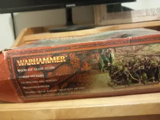 Warhammer Protectores del Bosque